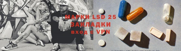 стафф Аркадак