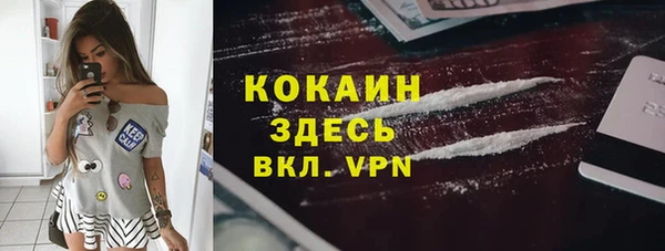стафф Аркадак