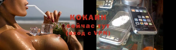 шишки Лагань