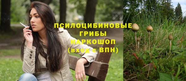 стафф Аркадак
