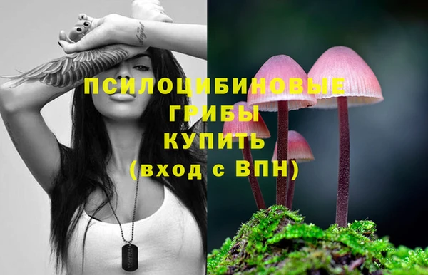 стафф Аркадак