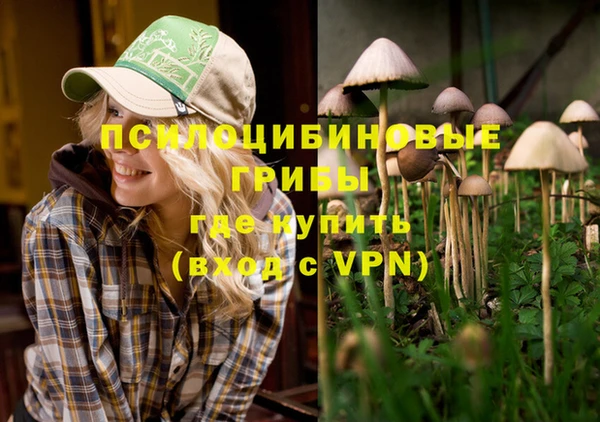 тгк Армянск