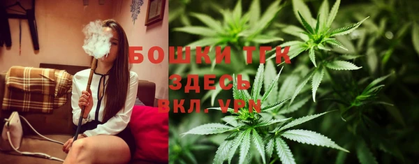 стафф Аркадак