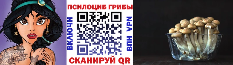 Псилоцибиновые грибы мухоморы  где можно купить наркотик  Долгопрудный 