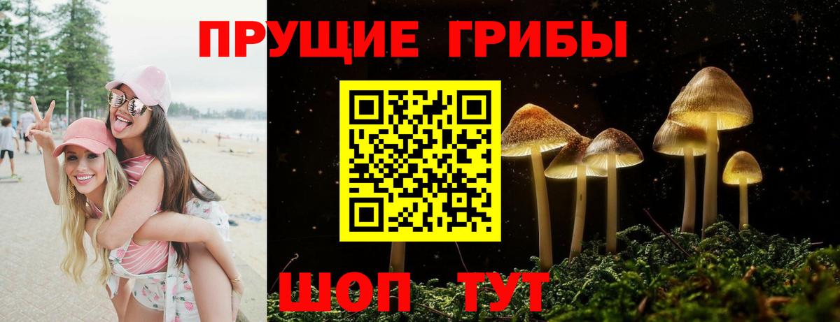 Галлюциногенные грибы Psilocybe  купить   Долгопрудный  Вход с VPN 